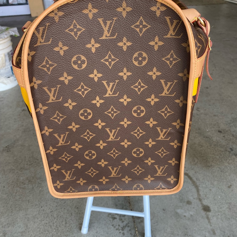Louis Vuitton pet carrying case